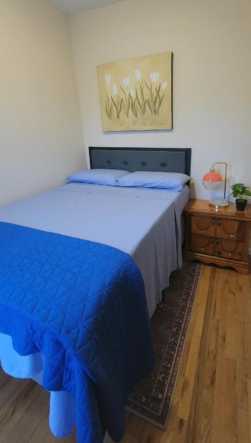 Bright & Cozy East Williamsburg 2 Bedroom نيو يورك المظهر الخارجي الصورة